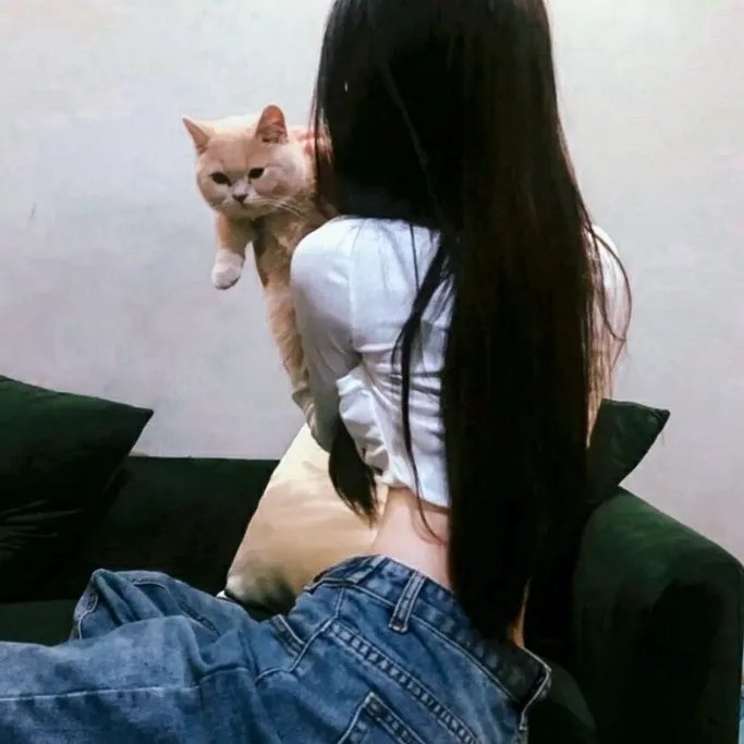 八角笼